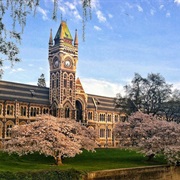 Otago University