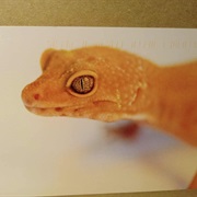 Lucerne, Switzerland