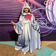 Fairy Godmother