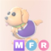 ᵐᵉᵍᵃ ᵗʰᵉʳᵃᵖʸ ᵈᵒᵍ ･､