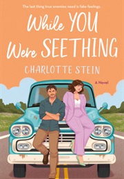 While You Were Seething (Charlotte Stein)