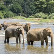 Xishuangbanna Biosphere Reserve, Yunnan, China