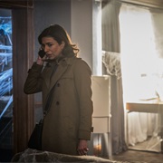 S11.E4: Arachnids in the UK