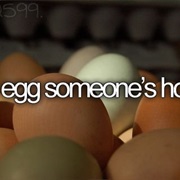 Egg Someone's House