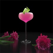 Cactus Flower Cocktail