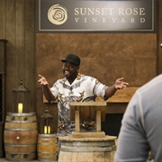 S1.E9: Wine & Vineyards