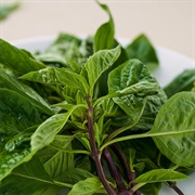 Thai Basil