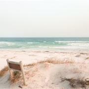 Platboom, South Africa