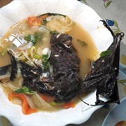 Fruit Bat Soup
