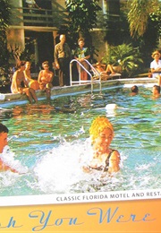 Wish You Were Here: Classic Florida Motel and Restaurant Advertising (Tim Hollis)