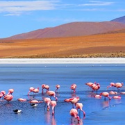 Laguna De Cañapa