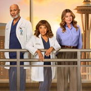 Grey's Anatomy Season 22