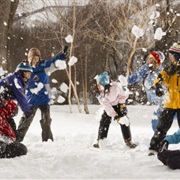 No Snowball Fights
