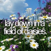 Lay Down in the Field of Daisies