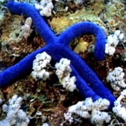 S1.E5: How Did We Get Here?