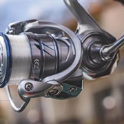 Fishing Reel