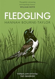 Fledgling (Hannah Bourne-Taylor)
