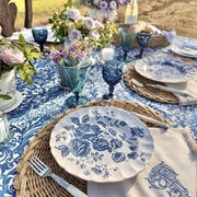 Patterned Plates and Linens