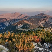 Bayuvi Dupki Dzhindzhiritsa Biosphere Reserve, Bulgaria