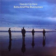 Echo & the Bunnymen - All My Colours