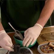 S2.E8: Fiberglass Boats/Clothes Dryers/Bubble Gum/Fireworks