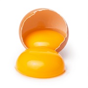 Yolk