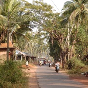 Morjim, Goa
