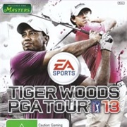 Tiger Woods PGA Tour 13