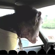 S1.E12: Carnival Magic