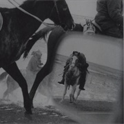 Big Foot Memorial Ride (Guy Le Querrec)