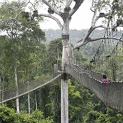 Kakum National Park, Ghana