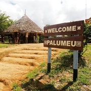 Paloemeu, Suriname