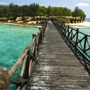 Prison Island, Zanzibar