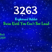 #8217 Swim Until You Can't See Land by Frightened Rabbit