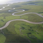 Costero Del Sur Biosphere Reserve, Argentina