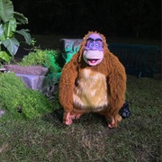 King Louie