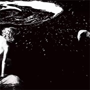 Shelter (Alice Phoebe Lou, 2023)