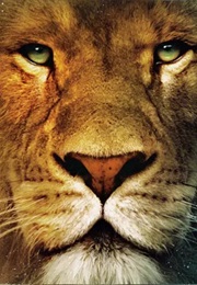 Narnia: The Magician's Nephew (2026)