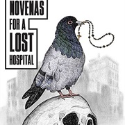 Novenas for a Lost Hospital