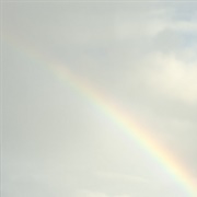 Joe by the Book - Buck Meek