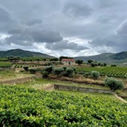 Quinta Da Roêda, Pinhão, Portugal