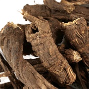 Bear Root