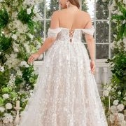 Short Line of Lacing on Back of Dress