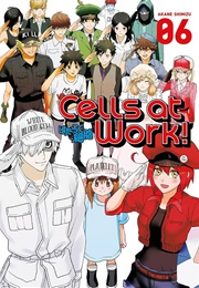 Cells at Work! Vol. 6 (Akane Shimizu)