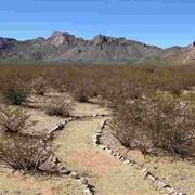 Jornada Biosphere Reserve, New Mexico, USA