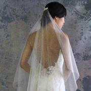 Sparkle Tulle Wedding Veil