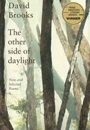 The Other Side of Daylight (David Brooks)