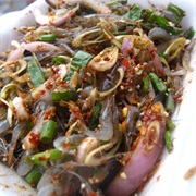 Dancing Shrimp (Live Shrimp)