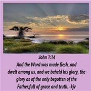 The Beautiful Glory of the Son