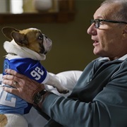 S6.E13: Rash Decisions